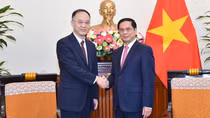 Leaders of Ministry of Foreign Affairs receive, hold talks with Chinese official