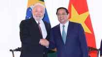 Viet Nam, Brazil issue joint communiqué