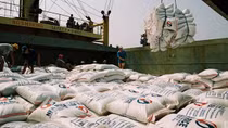 Rice exports maintain growth momentum