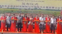 Vinh Long exports first batch of sweet potatoes to China