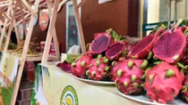 Vietnamese durian and fruit festival opened in China’s Tianjin city