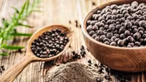 Pepper producers set sights on US$2 billion exports by 2025