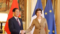 Vietnam, France look towards stronger strategic partnership
