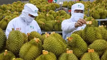 Trade with China passes US$120 billion mark in nine months