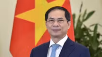 Vietnam determined to build modern, comprehensive, strong diplomatic sector