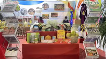 Ninh Binh hosts exhibition on Vietnam’s cultural heritage and handicrafts