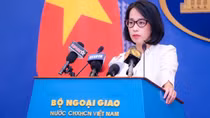 Vietnam’s sovereignty must be respected: Foreign Ministry’s spokesperson