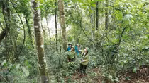 Vietnam takes steps towards net zero emissions