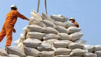 Vietnam’s GDP growth in 2022 reaches a record high over the past ten years