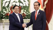 Vietnam, Indonesia eye comprehensive strategic partnership