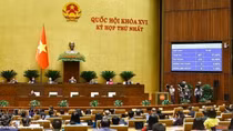 Resolution on cultural development adopted, Dong Nai established as centrally governed city