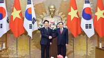 Vietnamese legislature backs implementation of agreements inked with RoK: NA Chairman