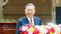 Promoting comprehensive foreign affairs at new height: Party chief