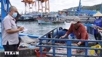 Da Nang adopts fisheries support policies to address EC’s IUU fishing “yellow card”