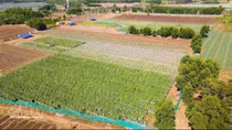 Data, digitalisation key to unlocking sustainable growth in Vietnam’s agriculture