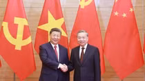 China-Vietnam partnership rooted in enduring core values: Chinese scholar