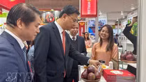 Vietnamese agribusinesses strengthen presence at Foodex Japan 2026