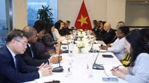 Deputy FM hosts non-resident ambassadors attending 14th National Party Congress