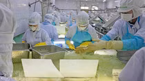 Vietnam launches drive to boost private sector, reform state enterprises