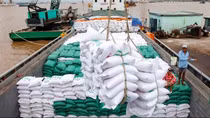 UKVFTA opens up fresh opportunities for rice exports to UK market