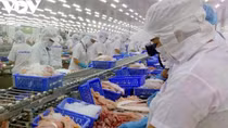 Foreign trade represents a bright spot for local economy in 2022