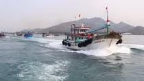 Vietnam aims to remove EC’s warning against IUU fishing next year