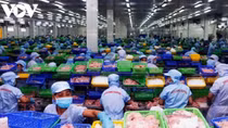 Aquatic exports to Belgium surge 74.32% during seven-month period