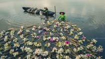 International Photography Festival 2022 to kick off in HCMC