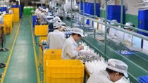11 export items to US market record turnover exceeding US$1 billion
