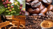Vietnam coffee exports hit three-year record high