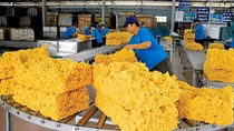 Positive prospects for rubber exports to US in 2022