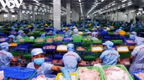 Opportunities ahead to boost exports amid global market fluctuations