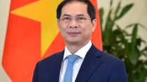 Diplomatic sector makes great contributions to national defence, construction