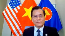 Overseas Vietnamese in US celebrate Lunar New Year