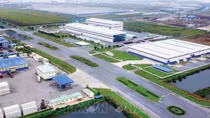 Green industrial ecosystem to become dominant trend
