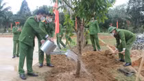 Binh Dien Prison plants more than 16,000 trees
