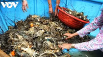 Aquatic sector capitalises on opportunities from FTAs