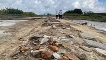 Traces of royal path found during excavation at Ho Dynasty Citadel