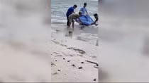 Latest news about discovery of some bodies on a beach on Phu Quoc Island