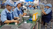 Unemployment insurance fund to soon complete payments for COVID-19-hit employees