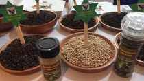 First quarter pepper exports to EU market surge by 92.9%