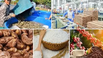 Vietnam poised to join top 10 global farm produce processors