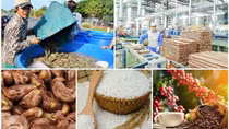 Bright prospects ahead for Vietnamese exports to Australia