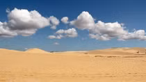 The wild beauty of "Sub-Saharan Desert" in Binh Thuan