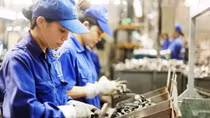 Businesses urged to seize upon fresh opportunities from foreign capital