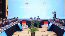 Vietnam and Laos review cooperation in counter-narcotic crimes
