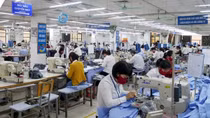 Vietnam, Poland capitalize on EVFTA preferences