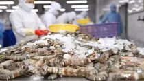 Vietnamese market in fifth place for shrimp exports to US in 2021