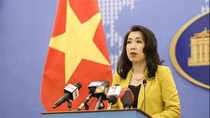 MoFA: Vietnam highlights respect for territorial integrity