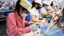 Criteria for Vietnamese business culture deployed in Mekong Delta region